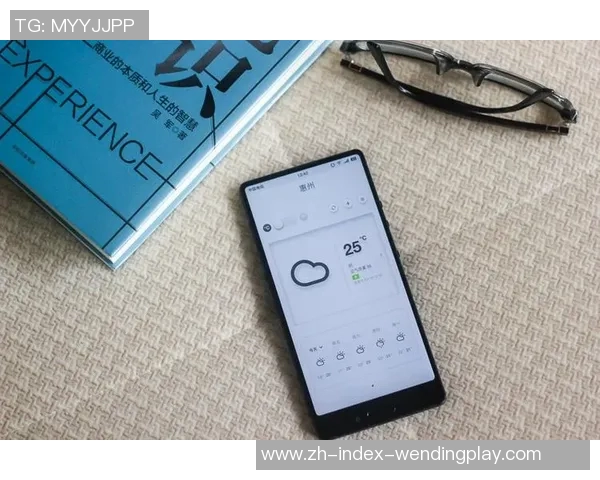 手机网赌app软件问鼎-揭示手机网赌app软件的盛行与背后的危险 问鼎现象的探究-手机网赌app软件问鼎